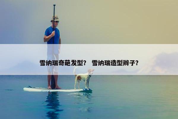 招式