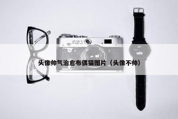 头像帅气治愈布偶猫图片（头像不帅）