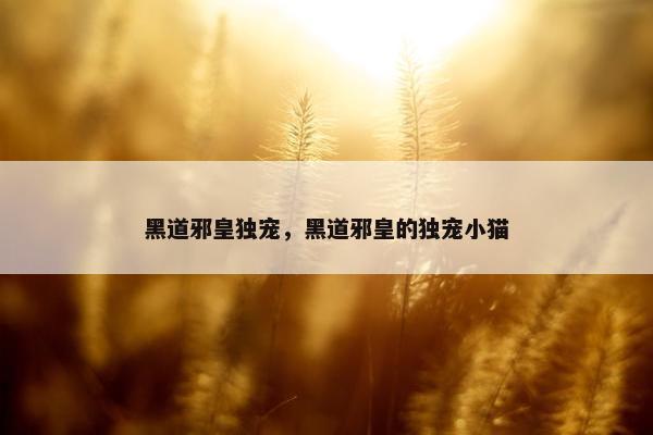 黑道邪皇独宠,黑道邪皇的独宠小猫