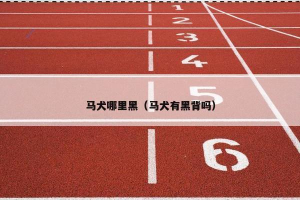 马犬哪里黑(马犬有黑背吗)