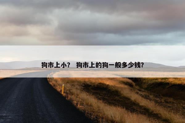 狗市上小？ 狗市上的狗一般多少钱？