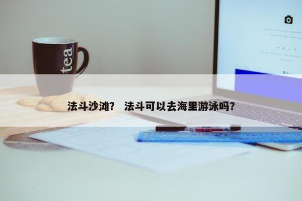 法斗沙滩? 法斗可以去海里游泳吗?