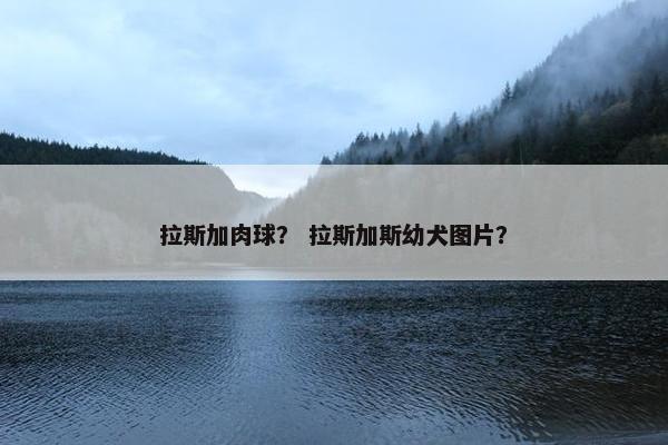 拉斯加肉球？ 拉斯加斯幼犬图片？
