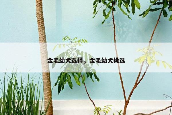 金毛 第21页