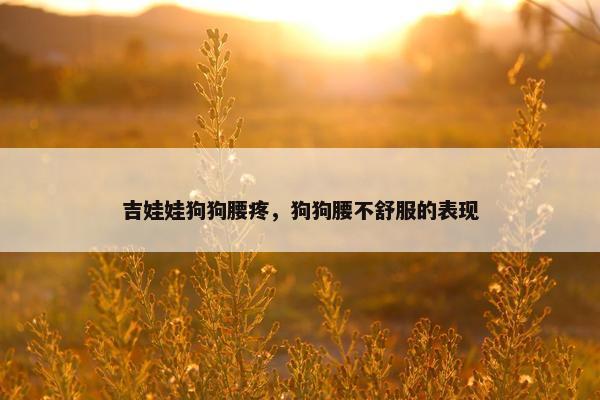 吉娃娃狗狗腰疼，狗狗腰不舒服的表现