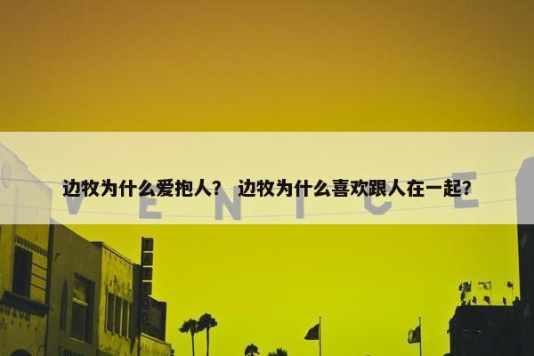 边牧为什么爱抱人？ 边牧为什么喜欢跟人在一起？
