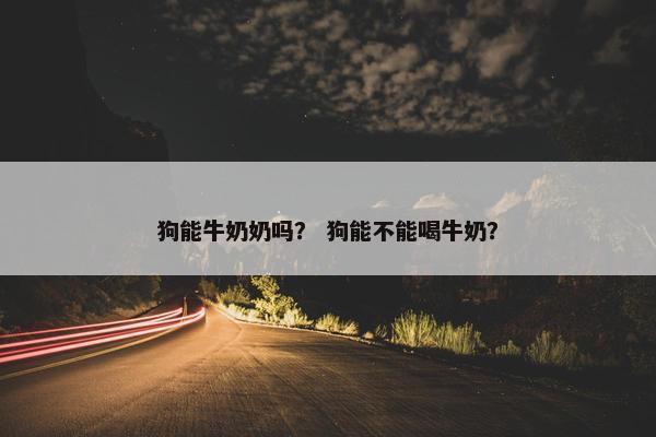 狗能牛奶奶吗？ 狗能不能喝牛奶？