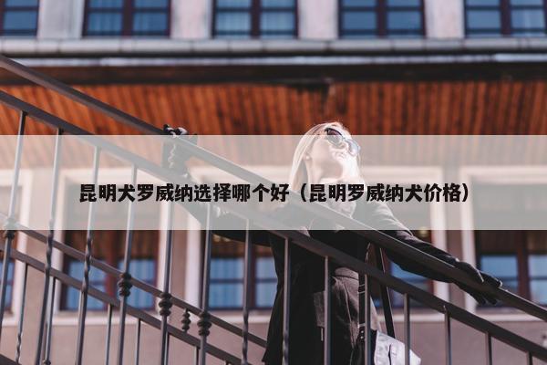昆明犬罗威纳选择哪个好（昆明罗威纳犬价格）