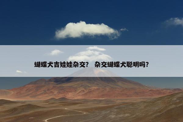 蝴蝶犬吉娃娃杂交？ 杂交蝴蝶犬聪明吗？
