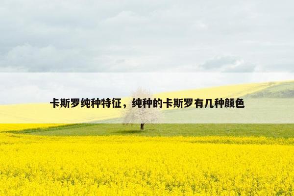 卡斯罗纯种特征，纯种的卡斯罗有几种颜色