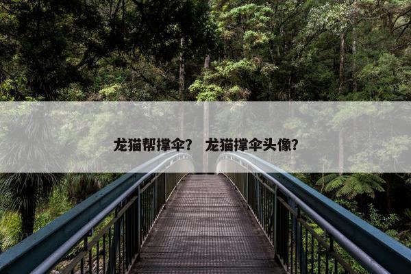 龙猫帮撑伞？ 龙猫撑伞头像？
