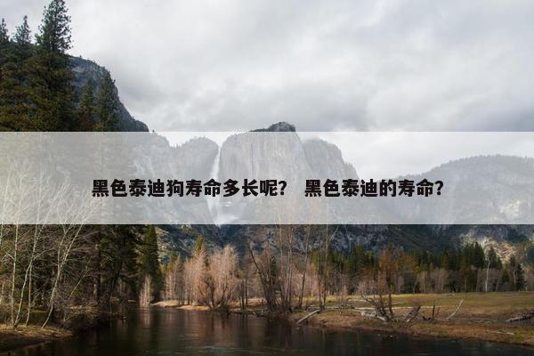 黑色泰迪狗寿命多长呢？ 黑色泰迪的寿命？