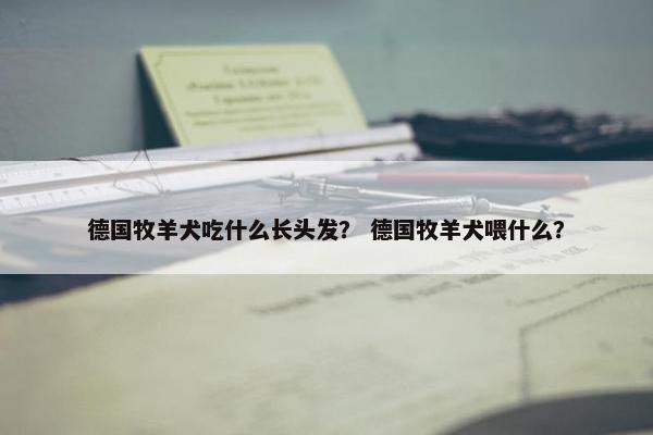 德国牧羊犬吃什么长头发？ 德国牧羊犬喂什么？