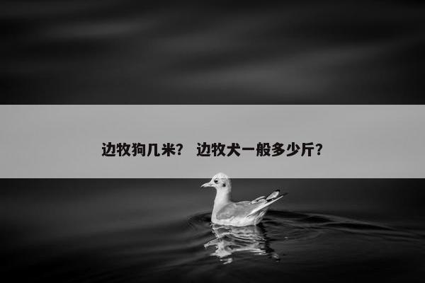 边牧狗几米？ 边牧犬一般多少斤？
