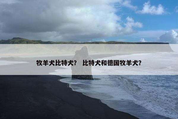 牧羊犬比特犬？ 比特犬和德国牧羊犬？