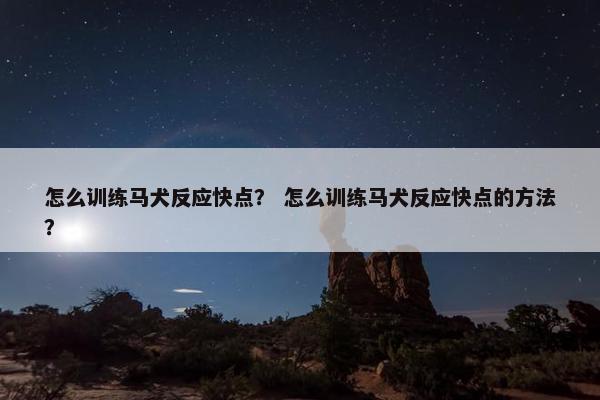 怎么训练马犬反应快点？ 怎么训练马犬反应快点的方法？