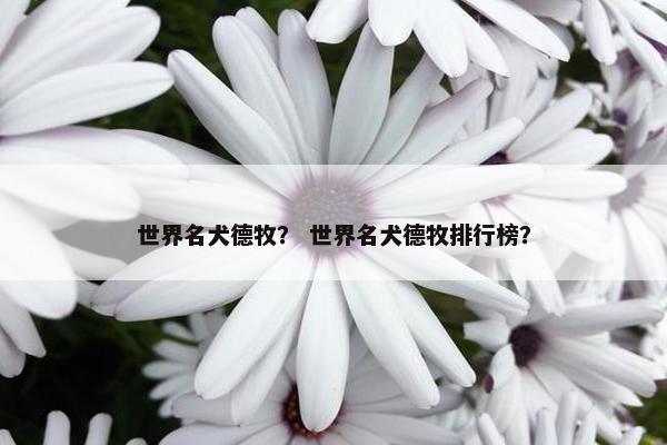 世界名犬德牧？ 世界名犬德牧排行榜？