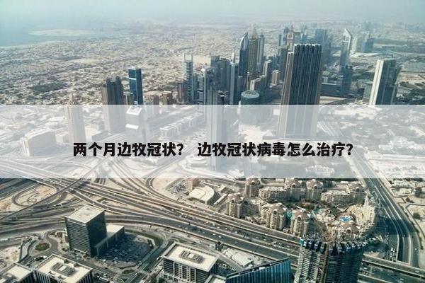 两个月边牧冠状？ 边牧冠状病毒怎么治疗？