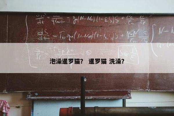 眼线