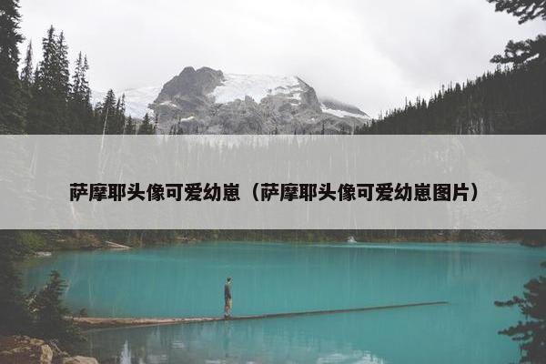 萨摩耶头像可爱幼崽(萨摩耶头像可爱幼崽图片)