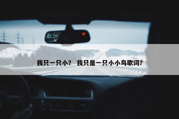 小鸟