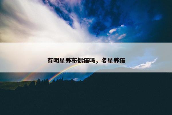 有明星养布偶猫吗,名星养猫
