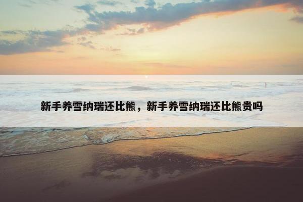 新手养雪纳瑞还比熊，新手养雪纳瑞还比熊贵吗