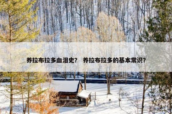 养拉布拉多血泪史？ 养拉布拉多的基本常识？
