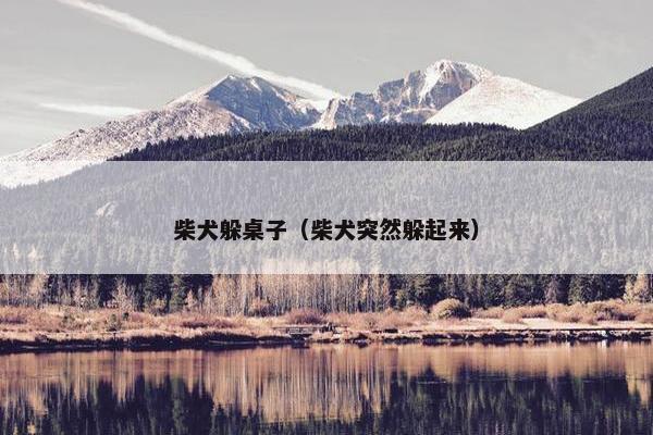 柴犬躲桌子（柴犬突然躲起来）