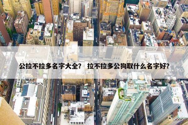 瑞奇