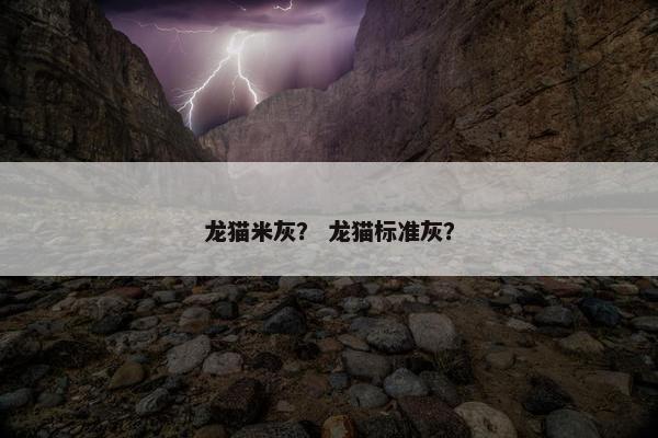 米色