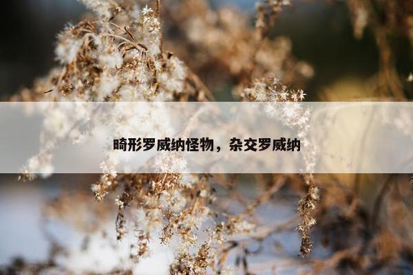 畸形罗威纳怪物，杂交罗威纳