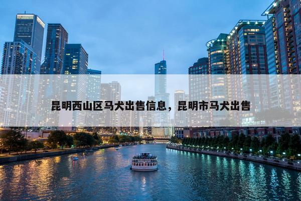 昆明西山区马犬出售信息，昆明市马犬出售