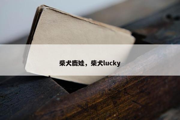 鹿娃