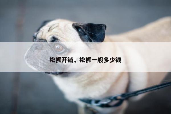 松狮开销，松狮一般多少钱