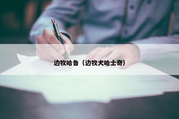 边牧哈鲁（边牧犬哈士奇）