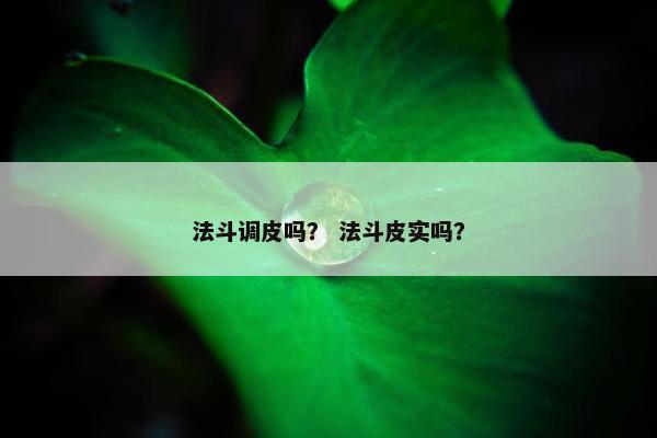 法斗调皮吗？ 法斗皮实吗？