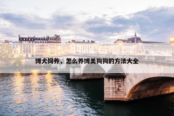 博犬饲养，怎么养博美狗狗的方法大全