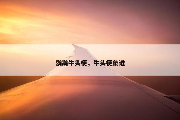 鹦鹉牛头梗，牛头梗象谁