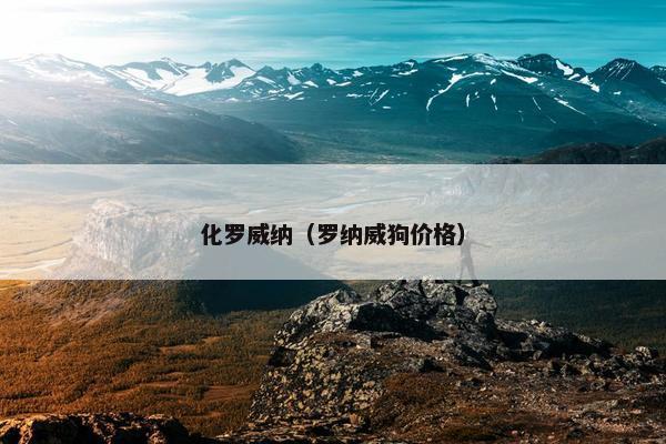 化罗威纳（罗纳威狗价格）