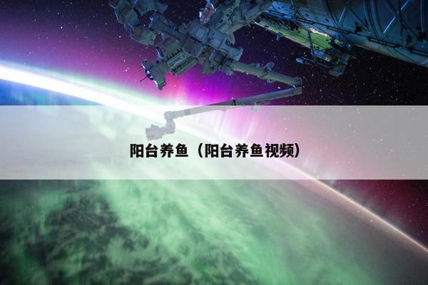鱼缸