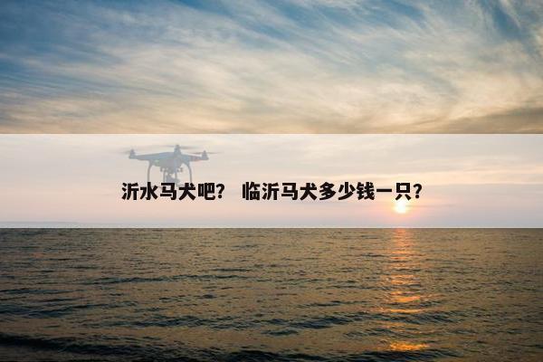 沂水马犬吧？ 临沂马犬多少钱一只？
