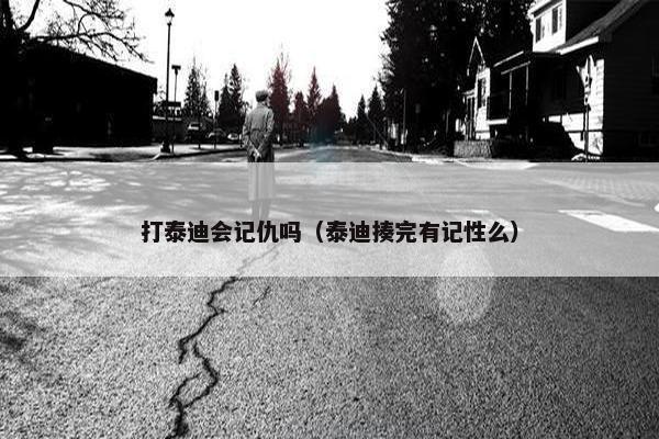 打泰迪会记仇吗（泰迪揍完有记性么）