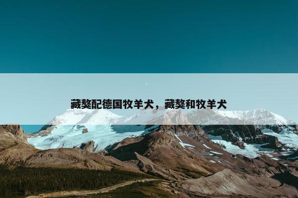 藏獒配德国牧羊犬，藏獒和牧羊犬