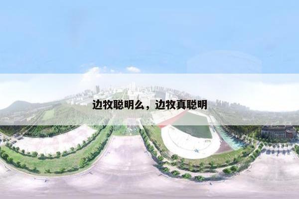 边牧聪明么，边牧真聪明