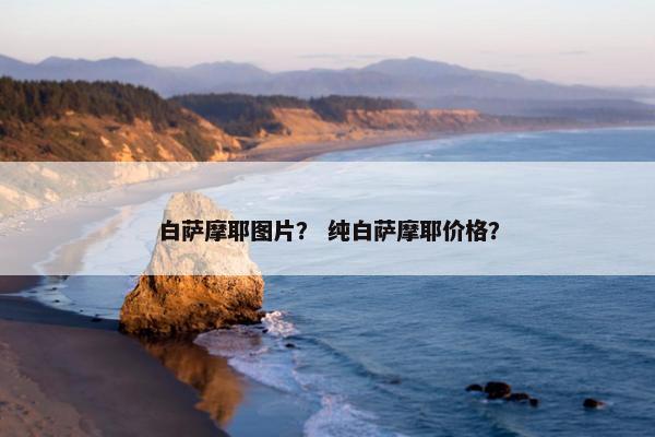 白萨摩耶图片？ 纯白萨摩耶价格？