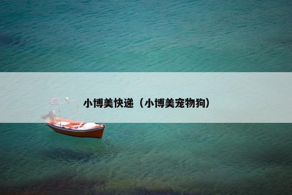 小博美快递（小博美宠物狗）