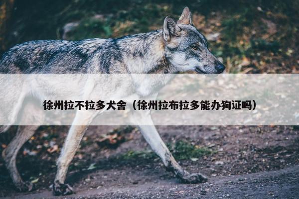 苏州