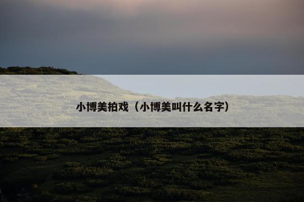小博美拍戏（小博美叫什么名字）
