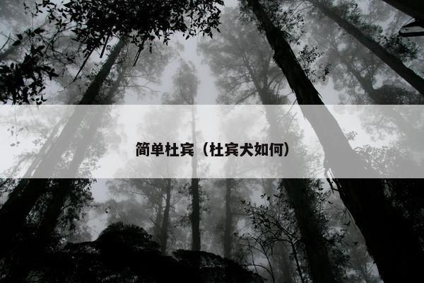 简单杜宾（杜宾犬如何）